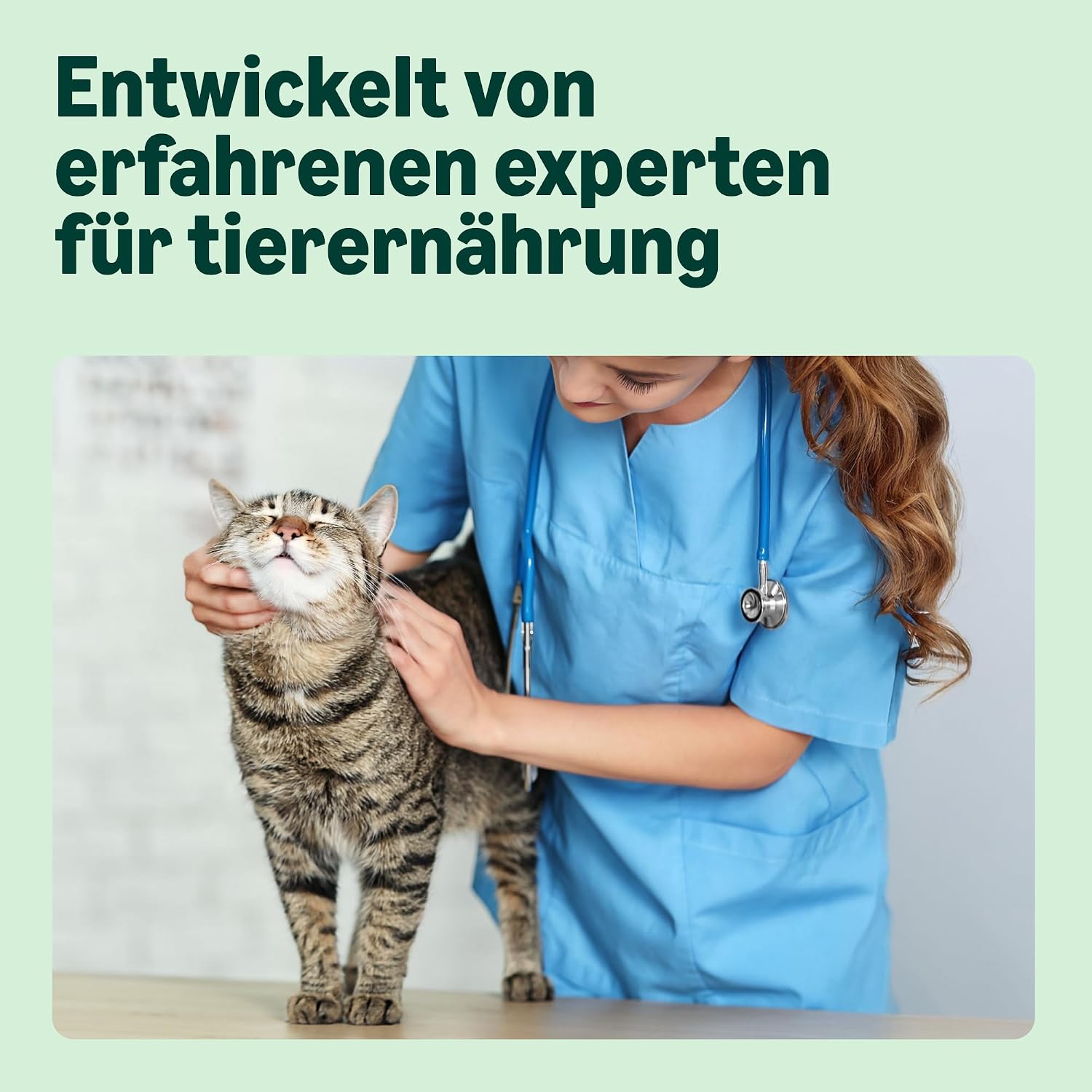 Katzenfutter trocken Adult frischer Lachs 3 kg getreidefrei