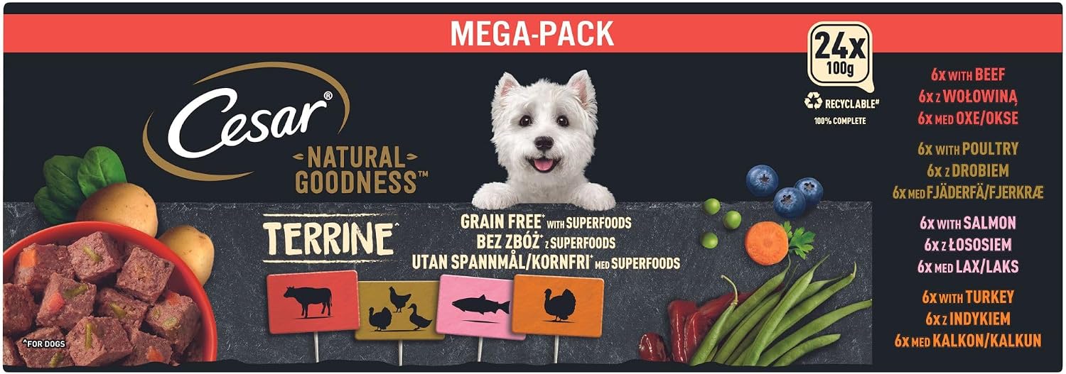 Cesar Hundefutter Nassfutter 24x100g verschiedene Sorten in Sauce