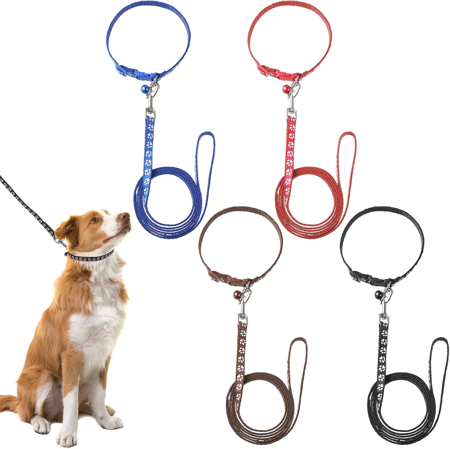 4er Set Welpenhalsband mit Leine verstellbar Nylon für kleine Hunde & Katzen