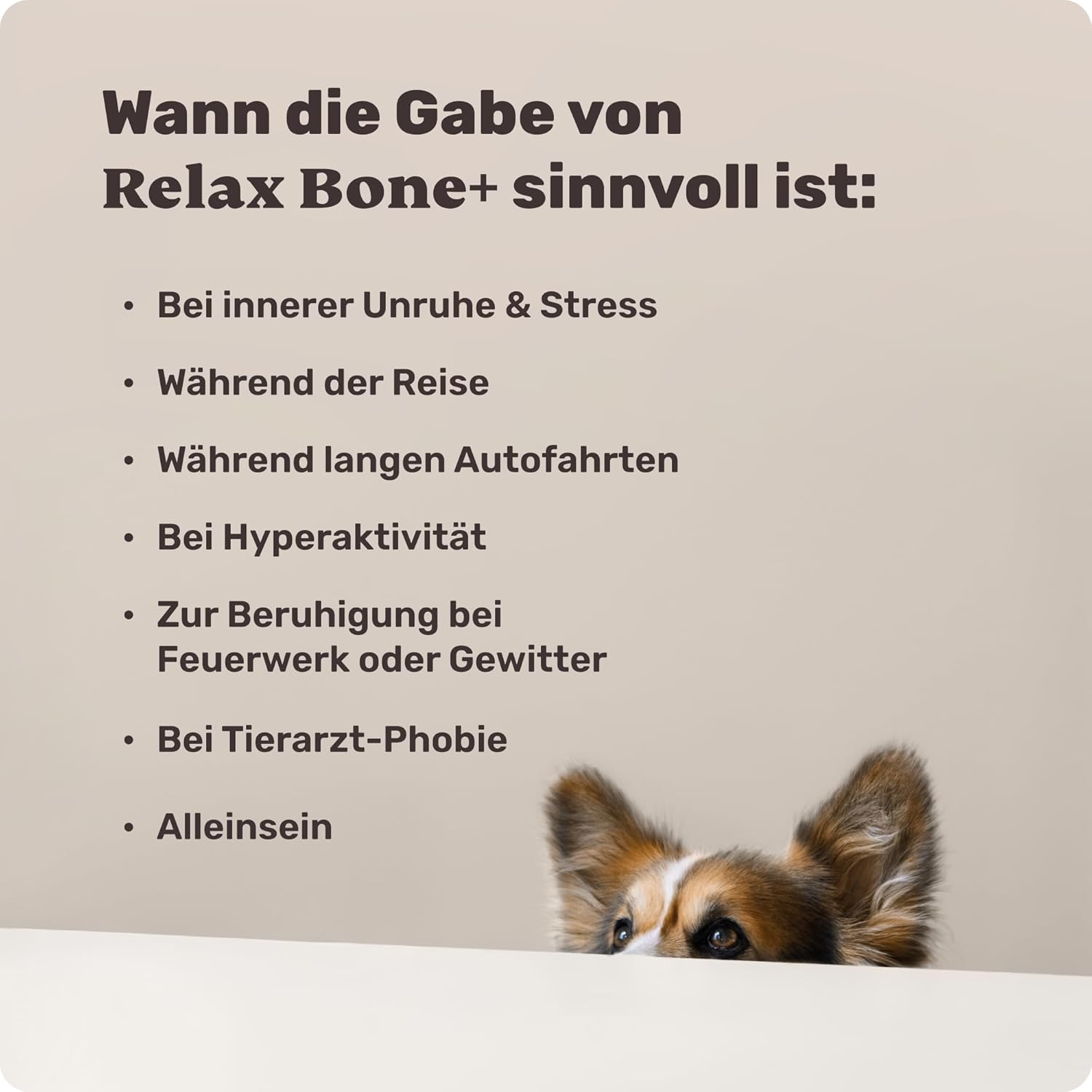 Mammaly Relax Bone Kauknochen 12 cm Rinderhaut Kamille Lavendel