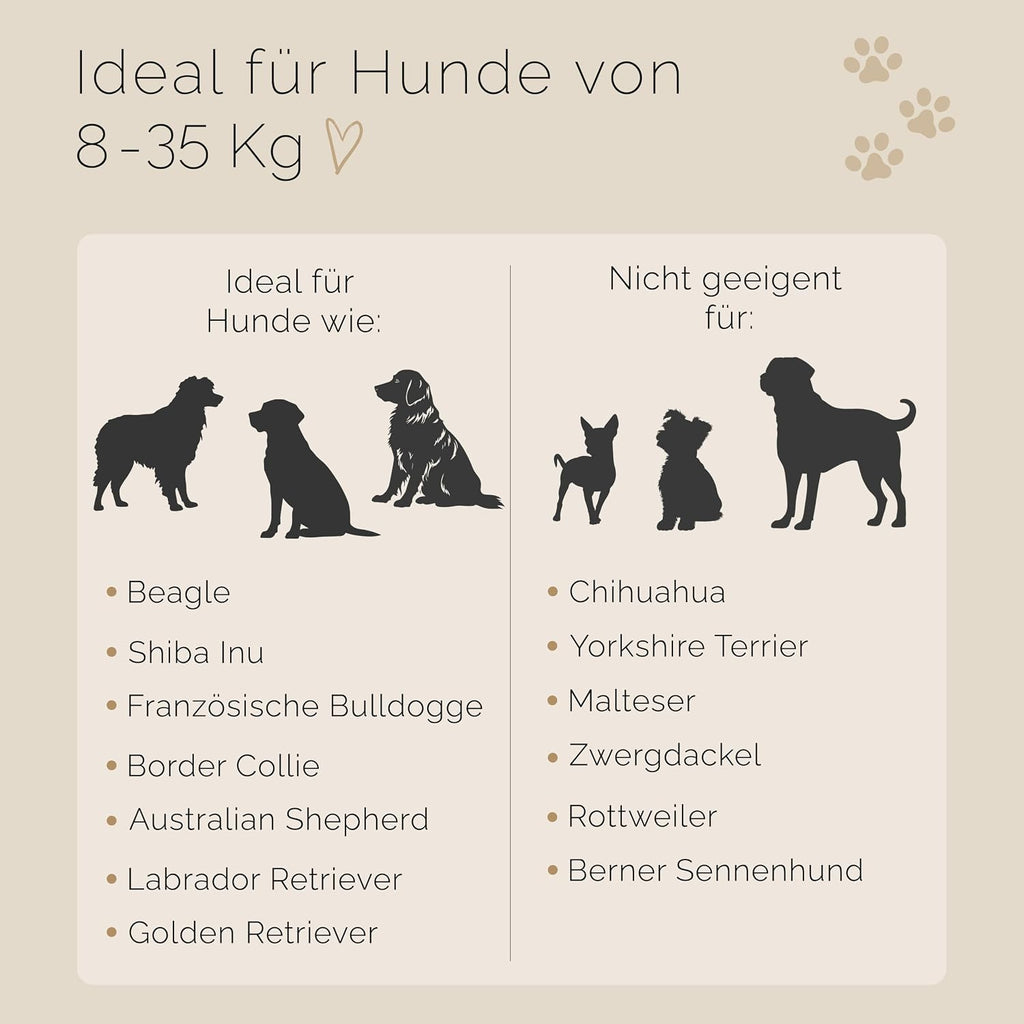 Geflochtene Hundeleine 2 m verstellbar Paracord Fuehrleine Trainingsleine