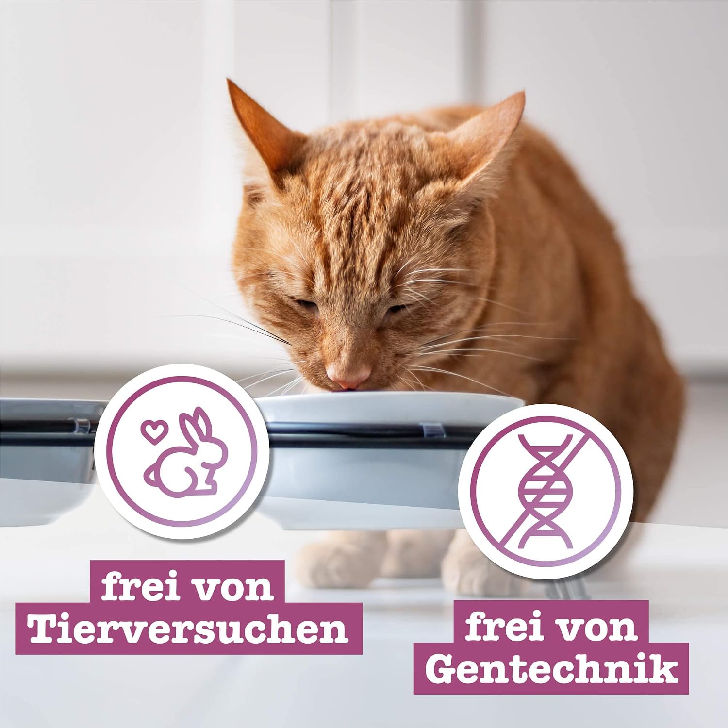 catz finefood Multipack 12x85g Nassfutter Mix Huhn Thunfisch Rind Rotbarsch