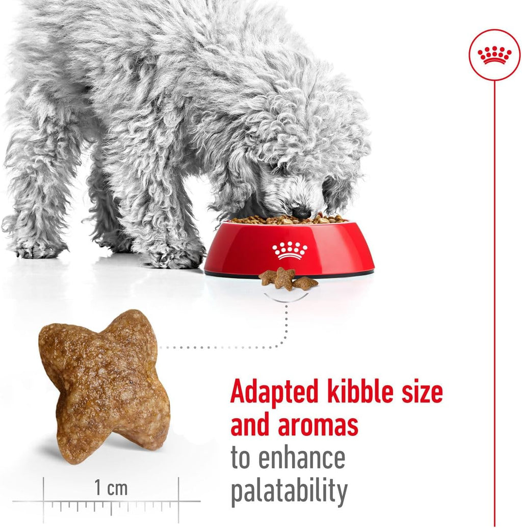 Royal Canin Mini Adult 800 g Alleinfutter Hund kleine Rassen Omega‑3