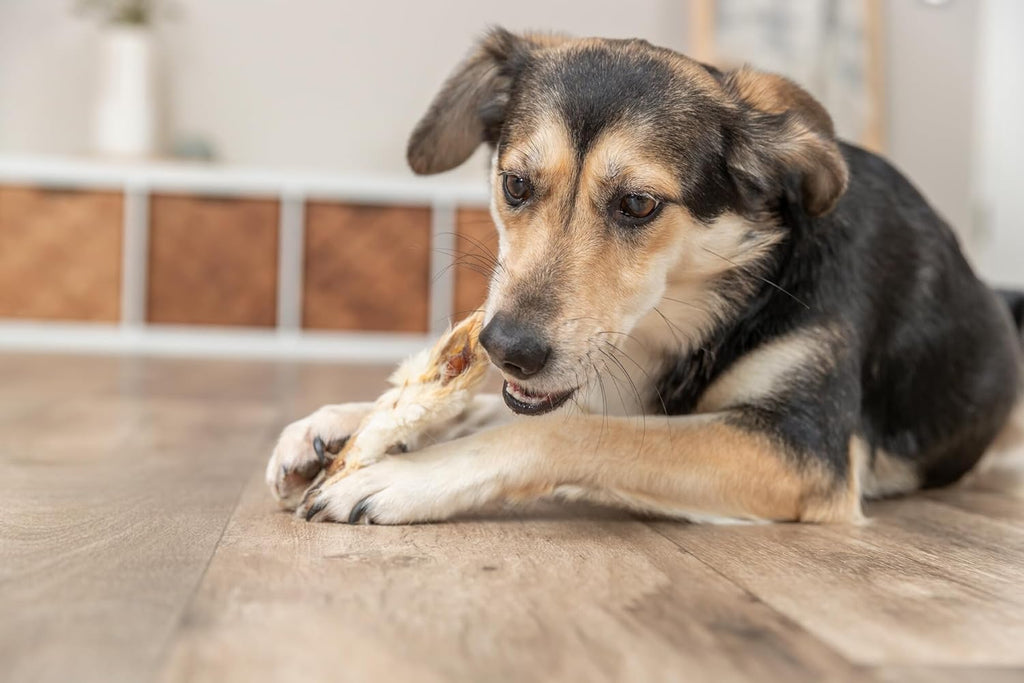 Trixie Kaninchenohren mit Fell Hundesnack Kauartikel 500 g