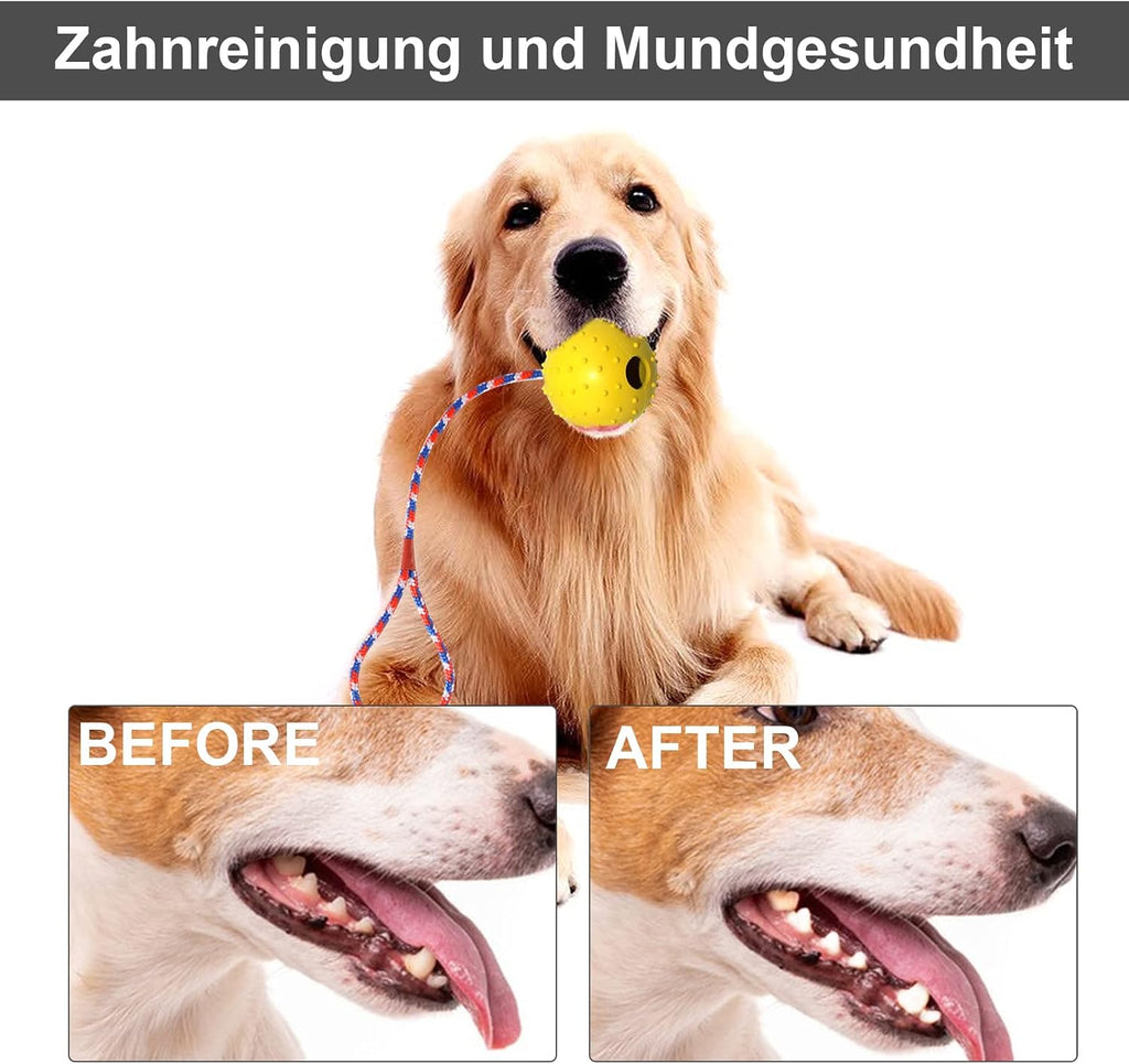4x Hundeball mit Seil aus Naturkautschuk – robustes Hundespielzeug