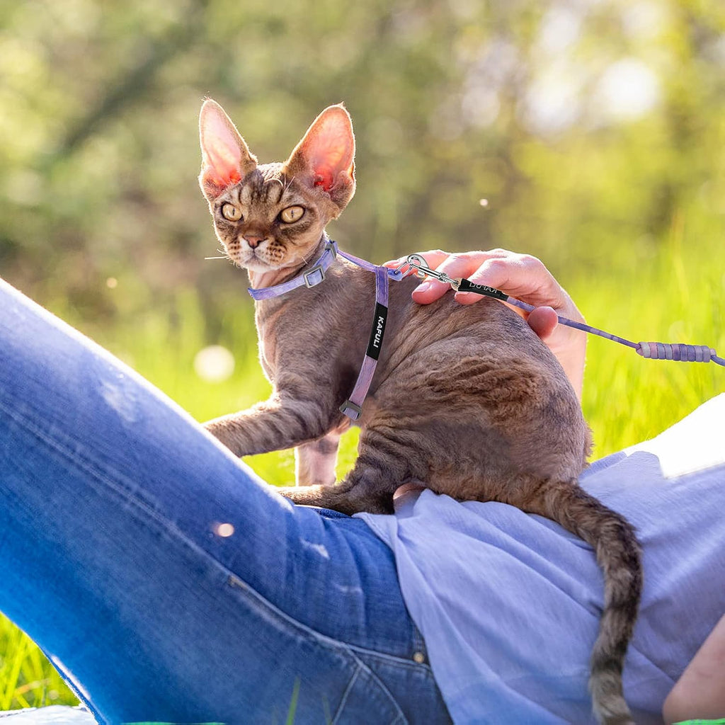 TIESOME Katzengeschirr mit Leine und Halsband, verstellbar, ausbruchsicher, Farb