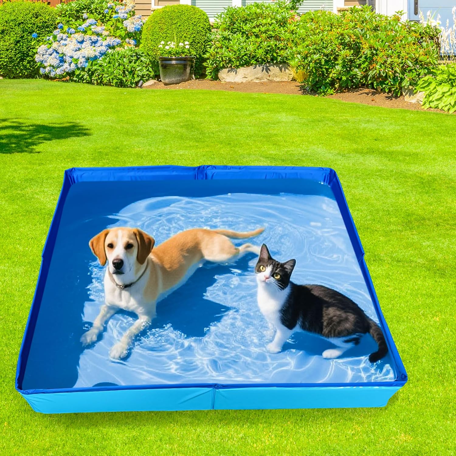 Faltbarer Hundepool 50x50x10 cm aus PVC mit 6 Fischspielzeug fuer kleine Hunde Ka