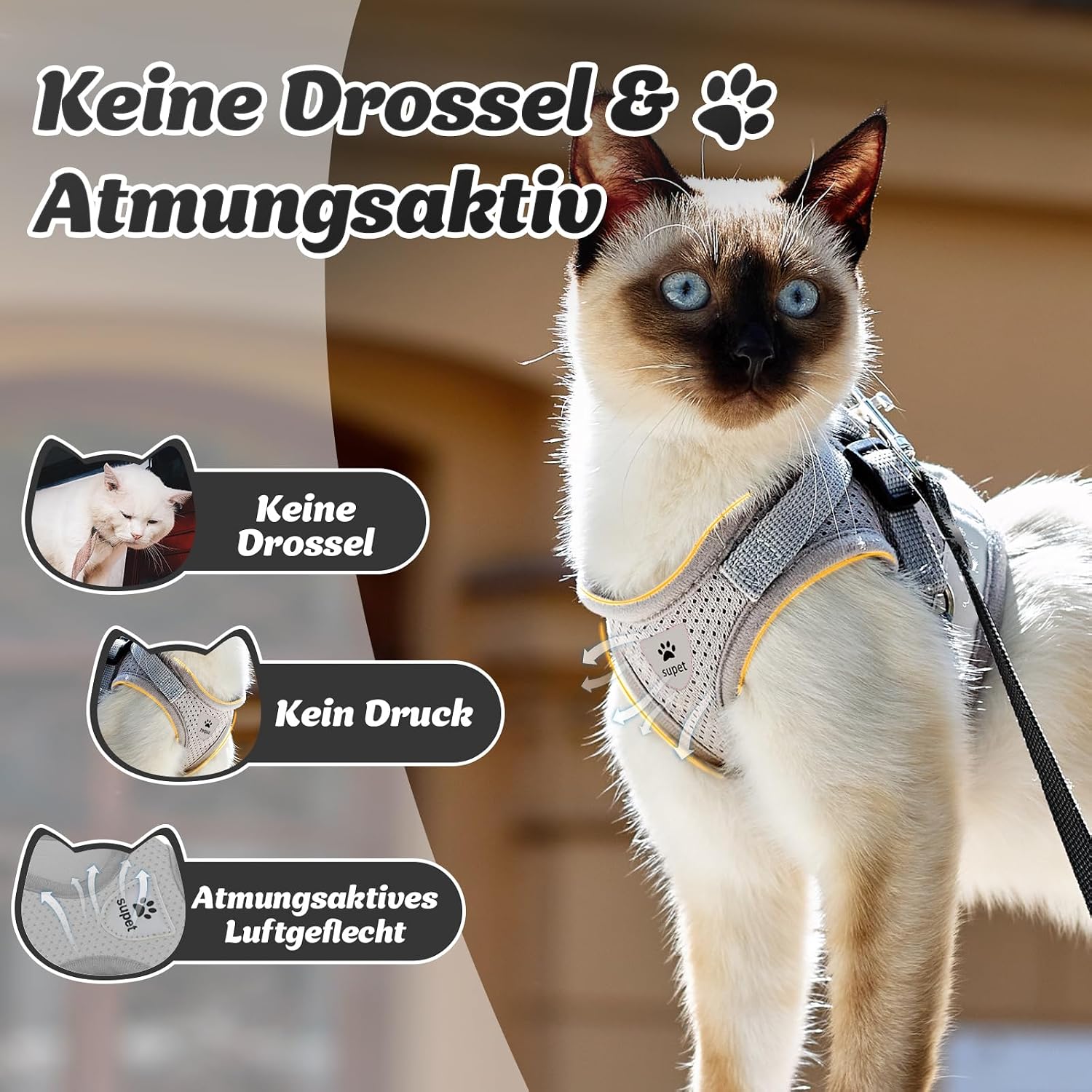 Supet Katzengeschirr Weste mit Leine verstellbar in verschiedenen Groessen und Farben