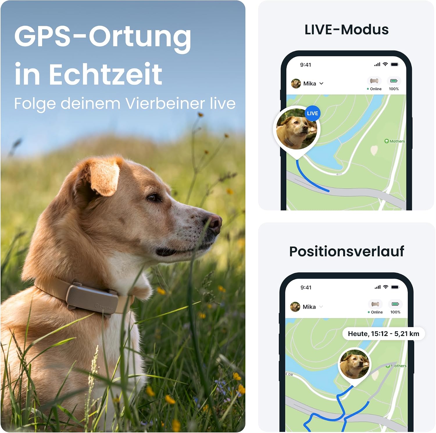 Tractive GPS Tracker 2025 Edition fuer Hunde Schwarz mit Live-Ortung