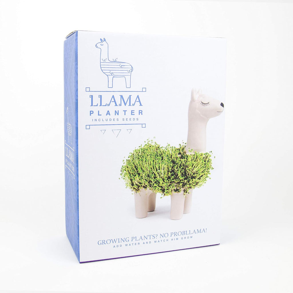 Lama Anzuchtset mit Chia Samen und Keramik Pflanztier - Geschenkset