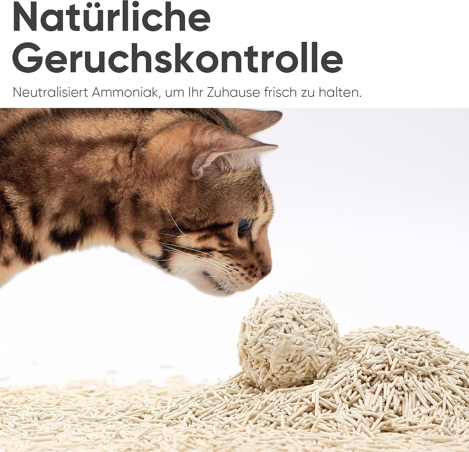 Katzenstreu Quick Clumping 10.8kg Maispellets Toilettenfreundlich 1 Stück