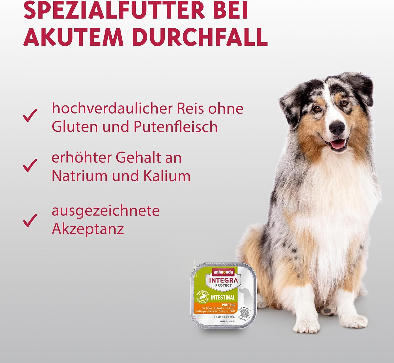 animonda INTEGRA PROTECT Hundefutter Renal Schwein 11x150g verschieden