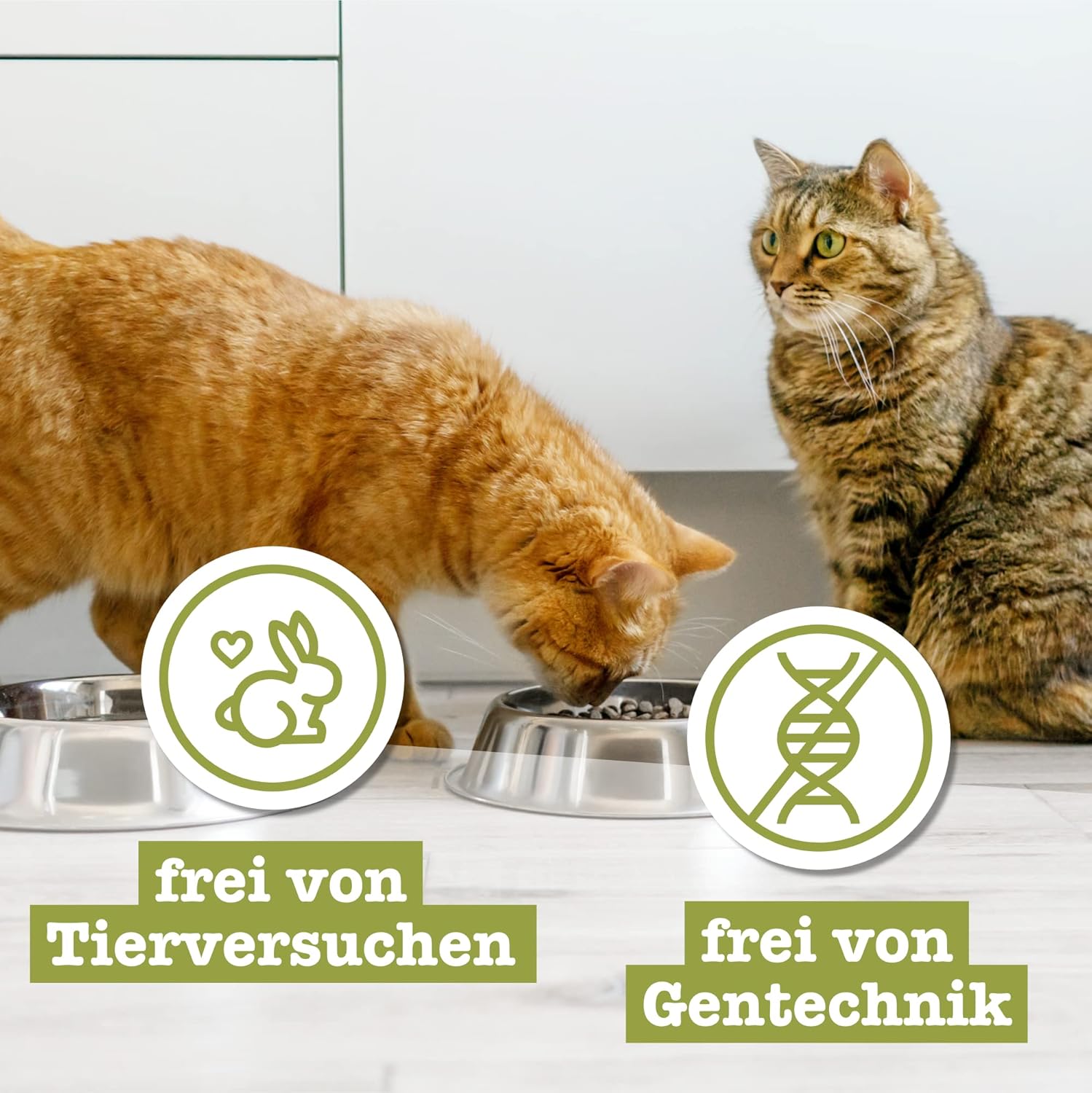 catz finefood Senior Collection Katzenfutter nass 6x200g getreidefrei