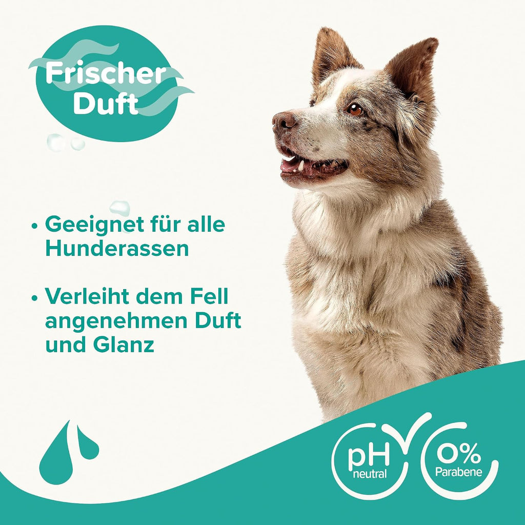 Beaphar Hundeshampoo Fell-Glanz mit Macadamiaoel und Aloe Vera