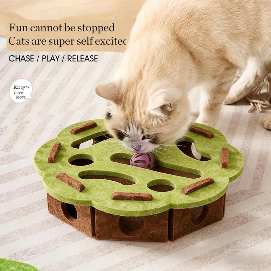 Intelligenzspielzeug für Katze Fummelbrett Labyrinth Kratzbox Filz