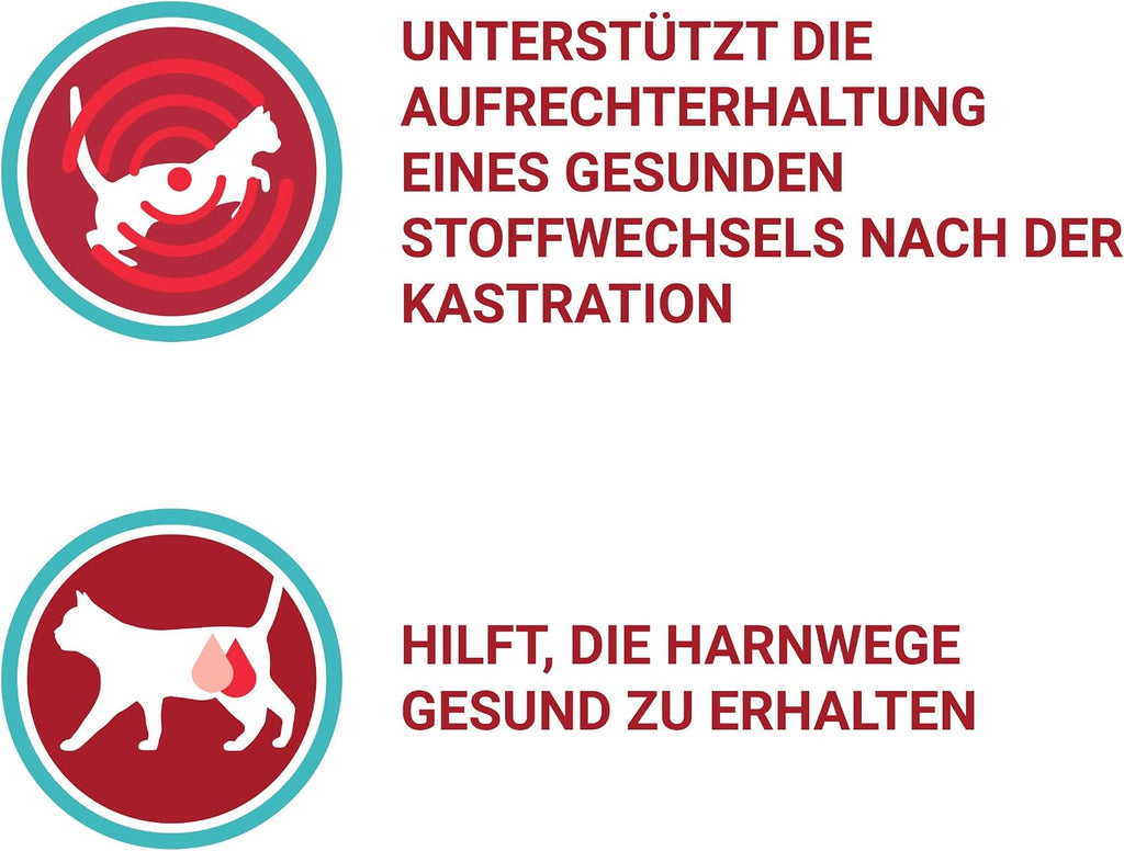 Purina ONE Sterilcat Nassfutter Lachs verschiedene Sorten 26 x