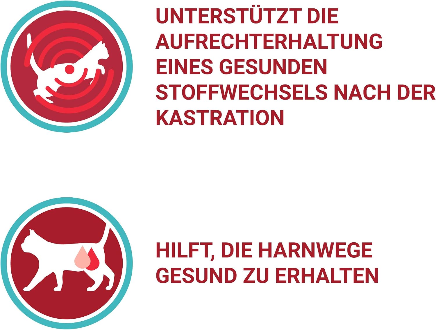 Purina ONE Sterilcat Nassfutter Lachs verschiedene Sorten 26 x