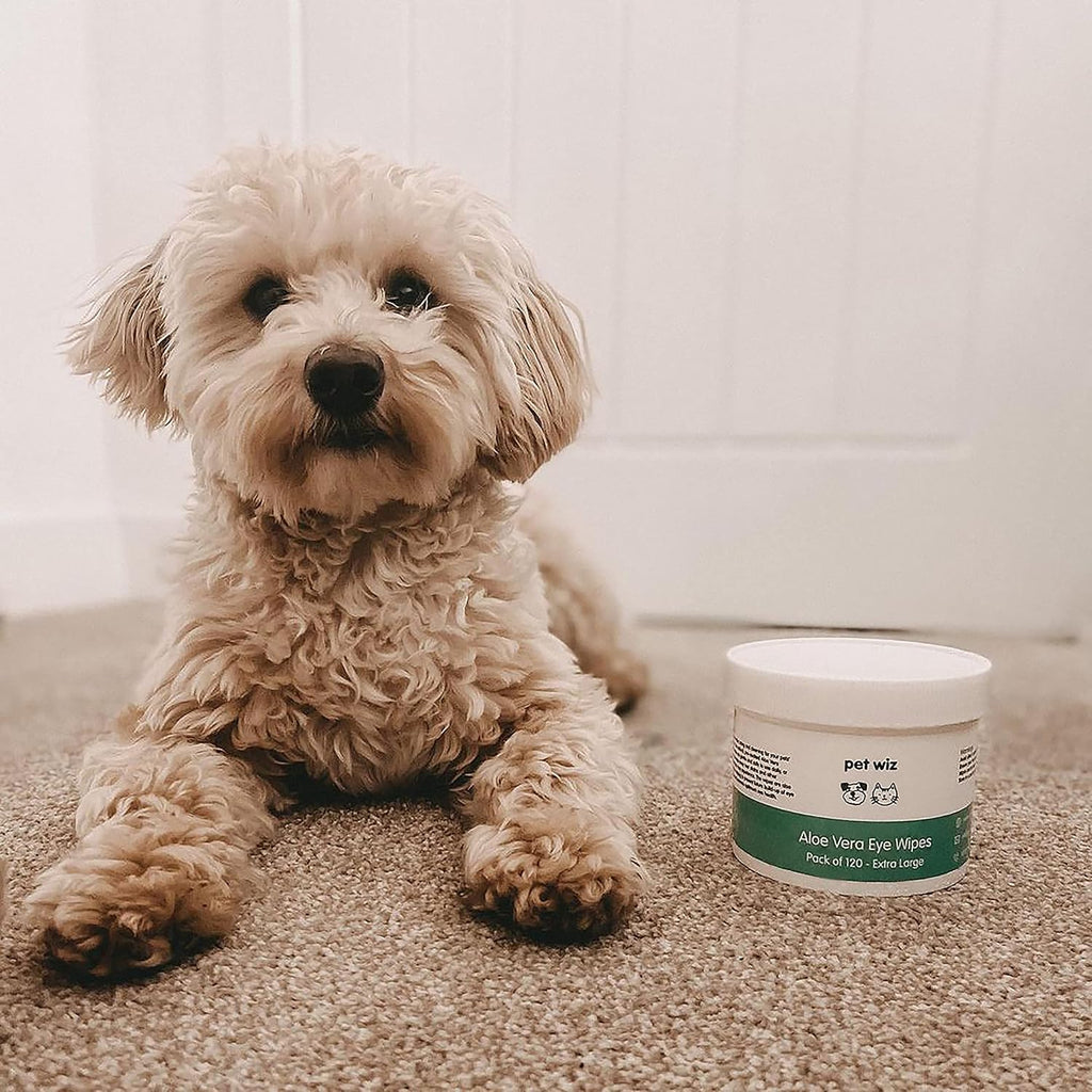 Pet Wiz Aloe Vera Augenwischtuecher fuer Hunde und Katzen Groesse XL 1 Dose