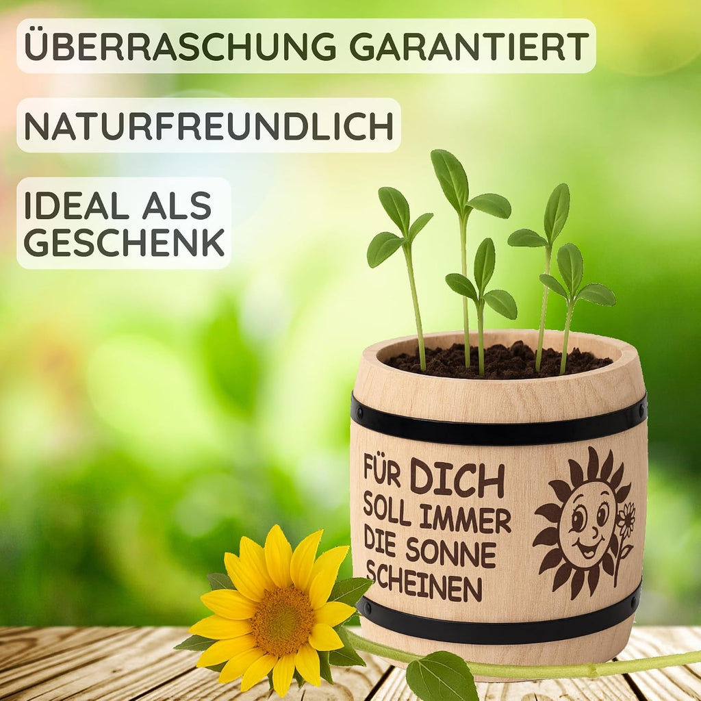 Sonnenblumen Anzuchtset mit Holztopf - Pflanzset Geschenk fuer Garten