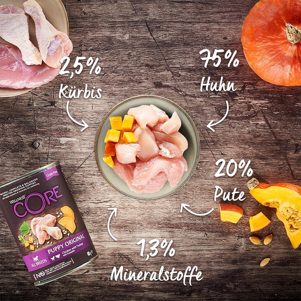 Wellness CORE Hundefutter Nass 6x400g Huhn & Truthahn Pastete