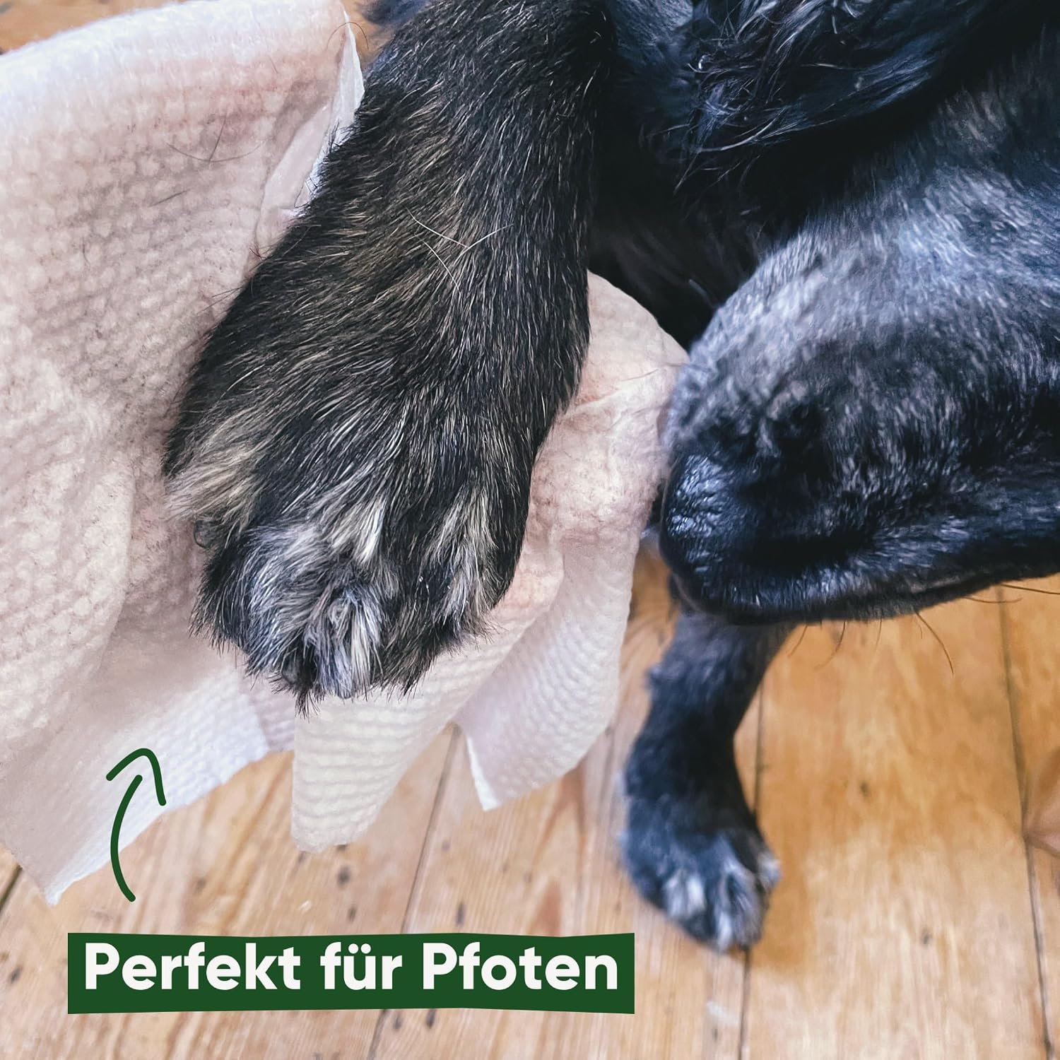Beco Hundetuecher 80 Stueck pflanzliche Pflegetuecher fuer Pfoten Koerper und Hinterteil