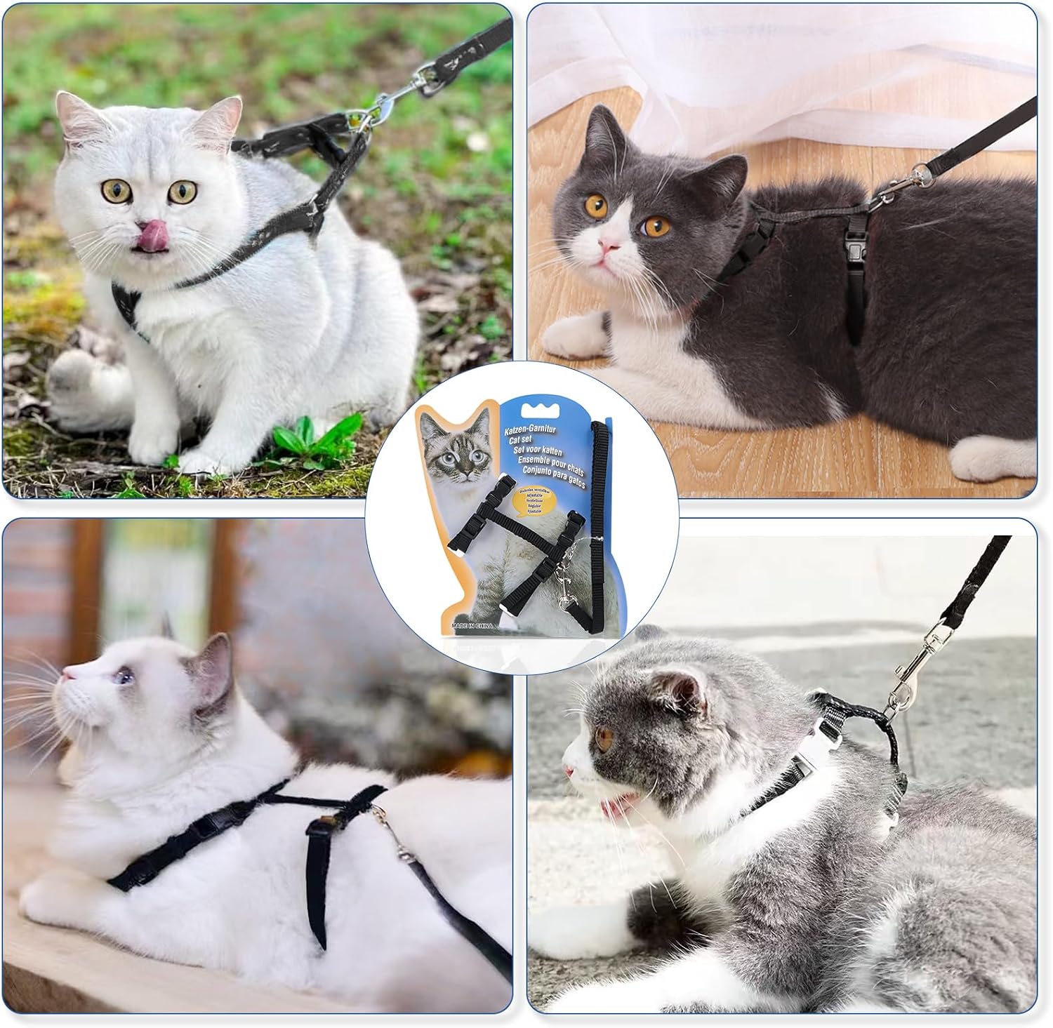 Katzengeschirr verstellbar mit 120 cm Leine ausbruchsicher für Katzen und Kaninc