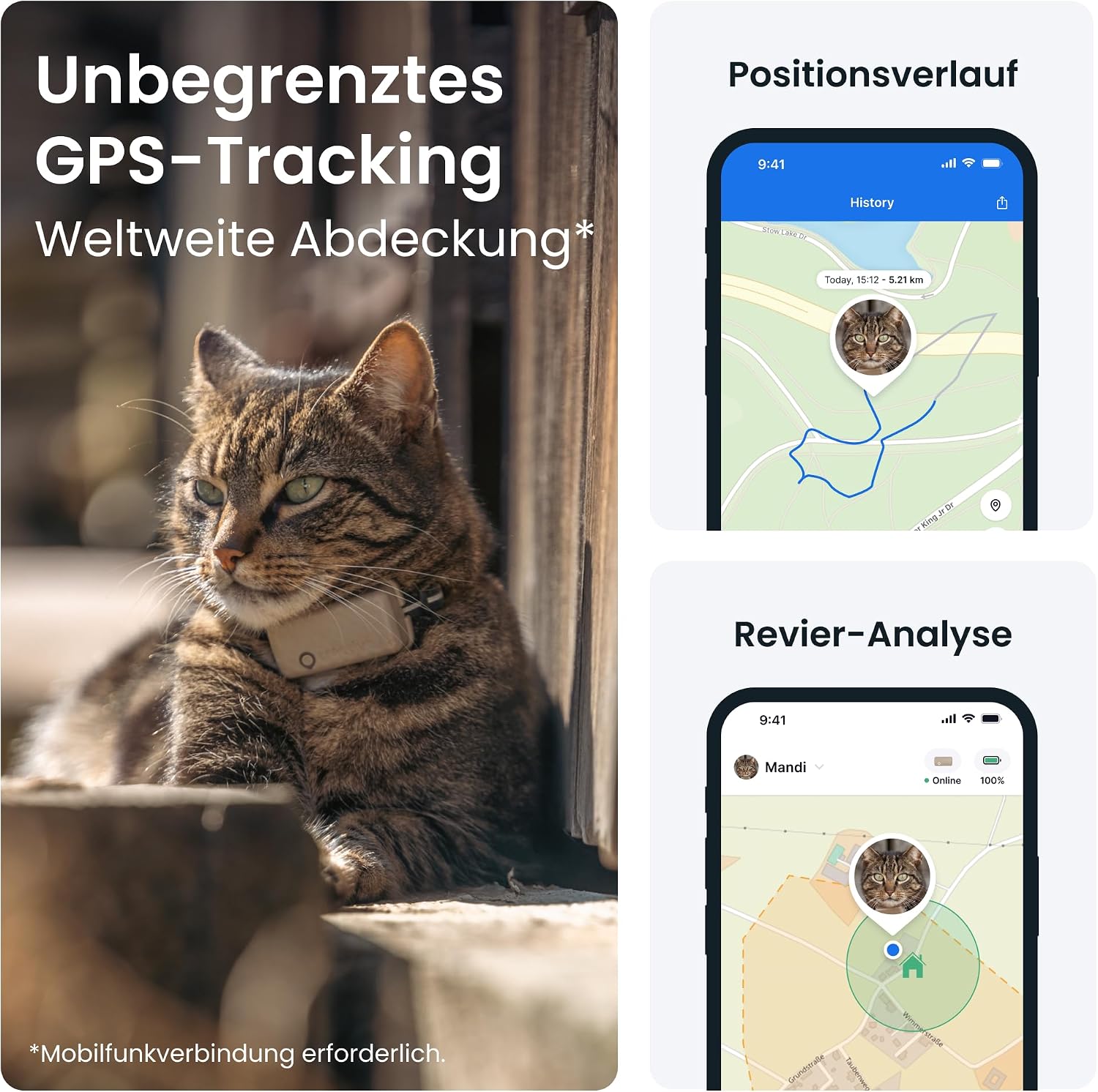 Tractive CAT Mini GPS Tracker Katzen Halsband Braun mit Live-Ortung