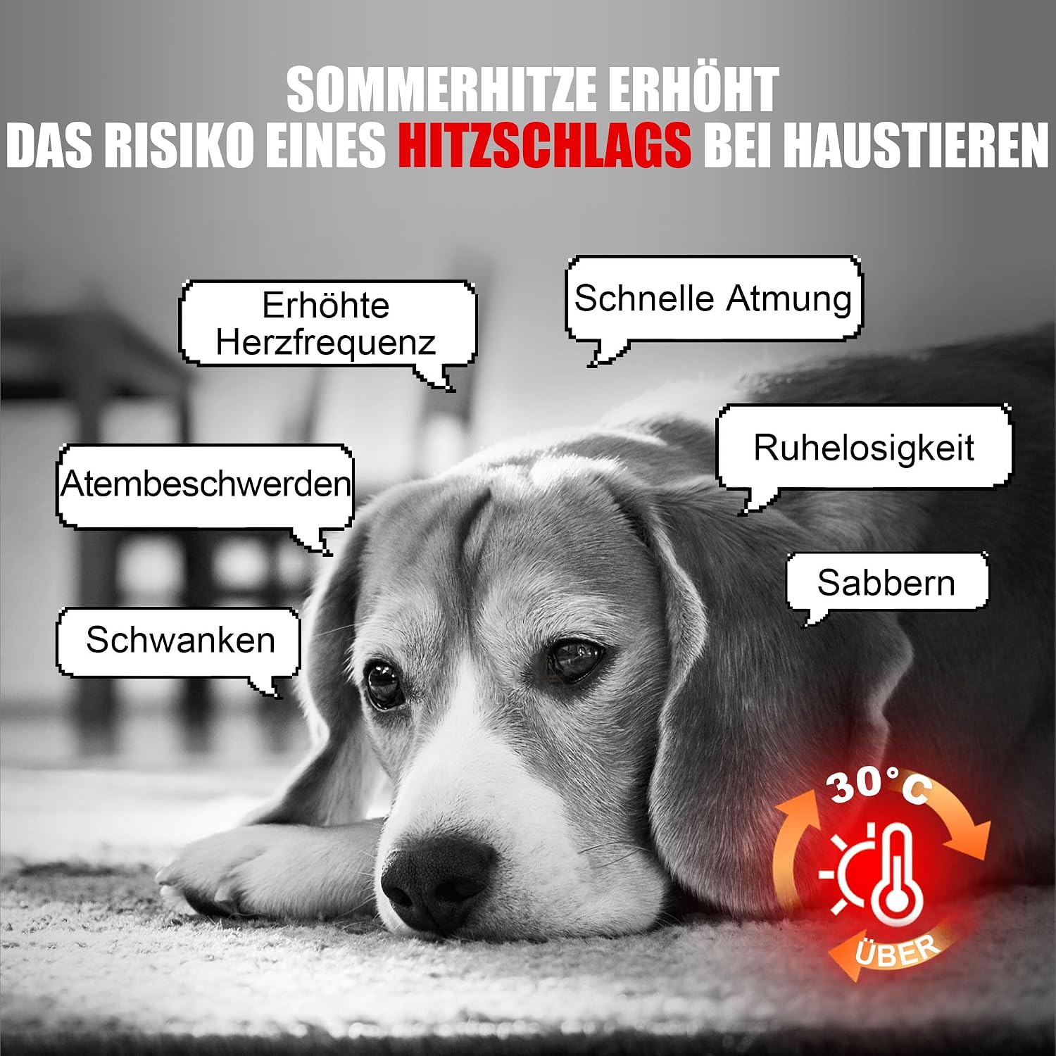 Angelpet Kuehlmatte XL 120x80 cm Grau selbstkuehlende Gelmatte fuer Hunde Katzen