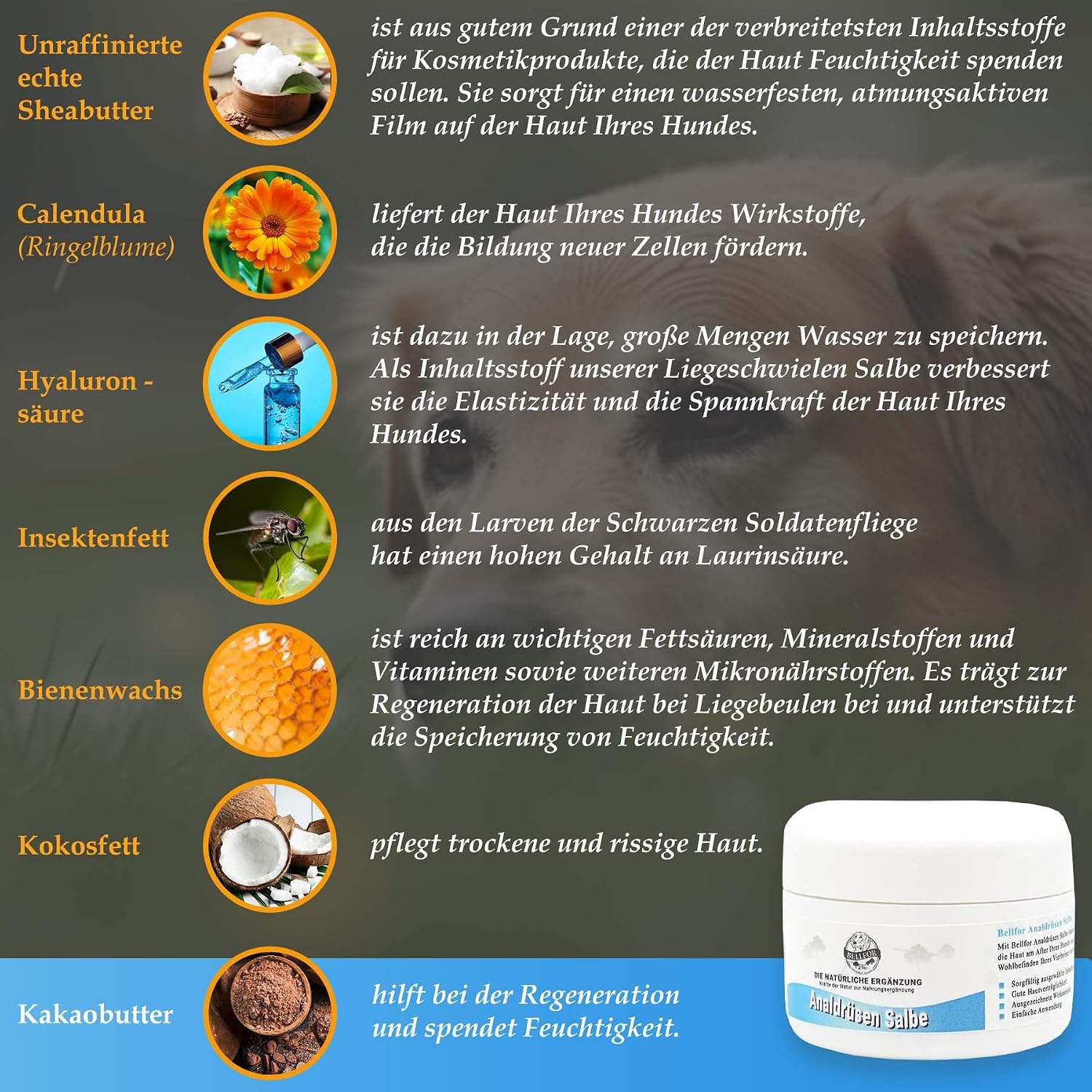Bellfor Analdruesen Salbe fuer Hunde - Natuerliche Pflege fuer die empfindlich