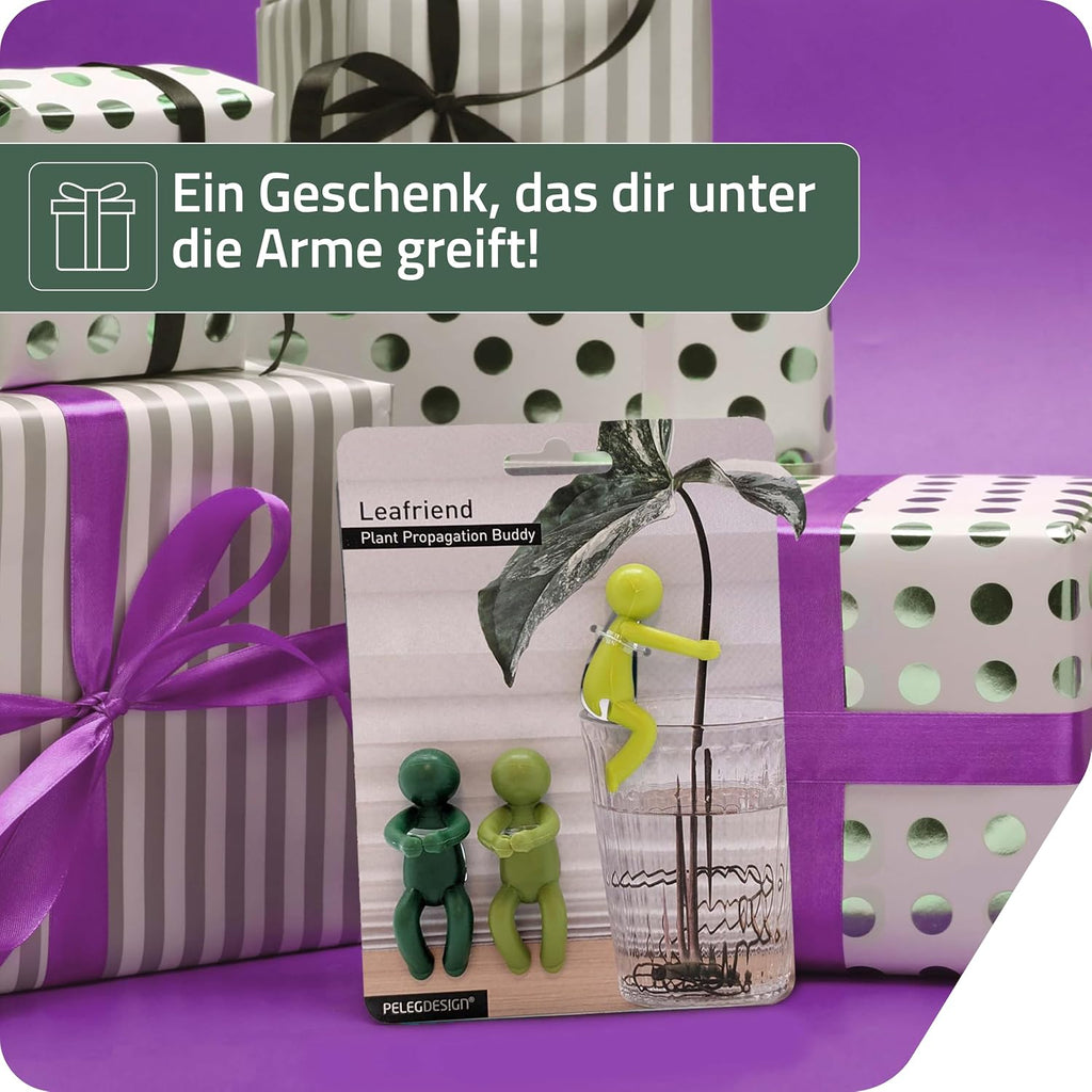 Leafriend Pflanzenhalter 3er Set fuer Stecklinge und Triebe Indoor