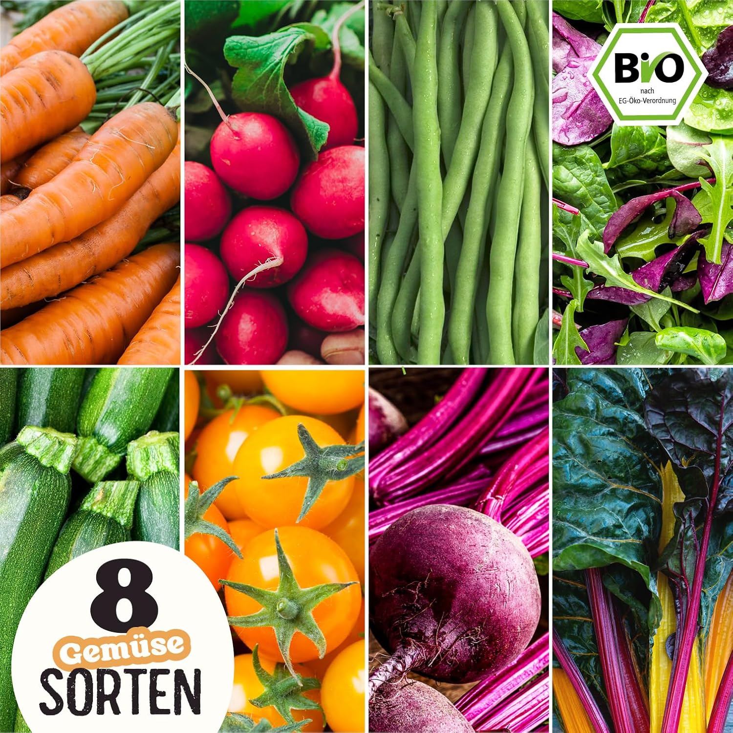 Bio Gemuese Samen Set 10 Sorten Anzuchtset Kinder Garten Pflanzset