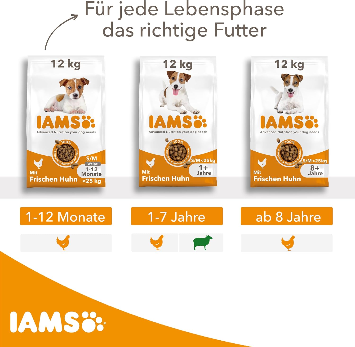 IAMS Senior Trockenfutter Huhn fuer Hunde ab 8 Jahre, kleine/medium