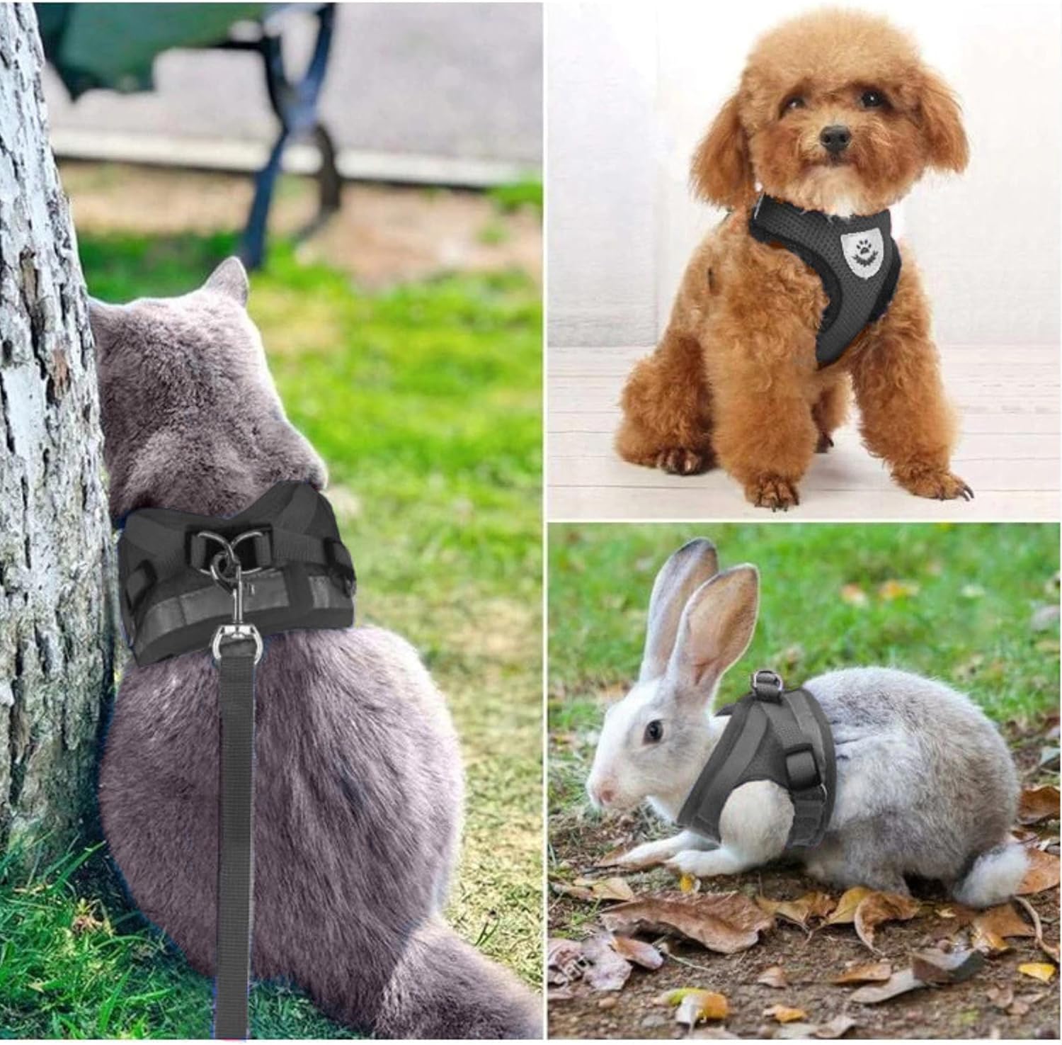 Reflektierendes Hundegeschirr S atmungsaktiv mit 110 cm Leine Schwarz