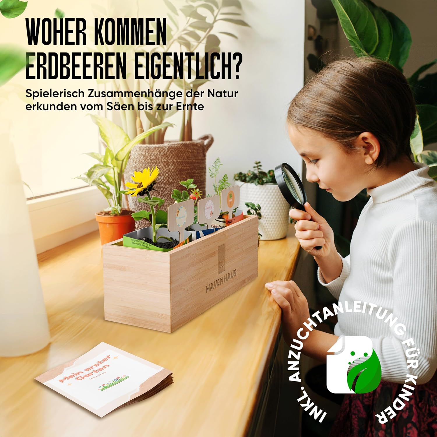 Mein Erster Garten Anzuchtset fuer Kinder Saatgut Pflanzset