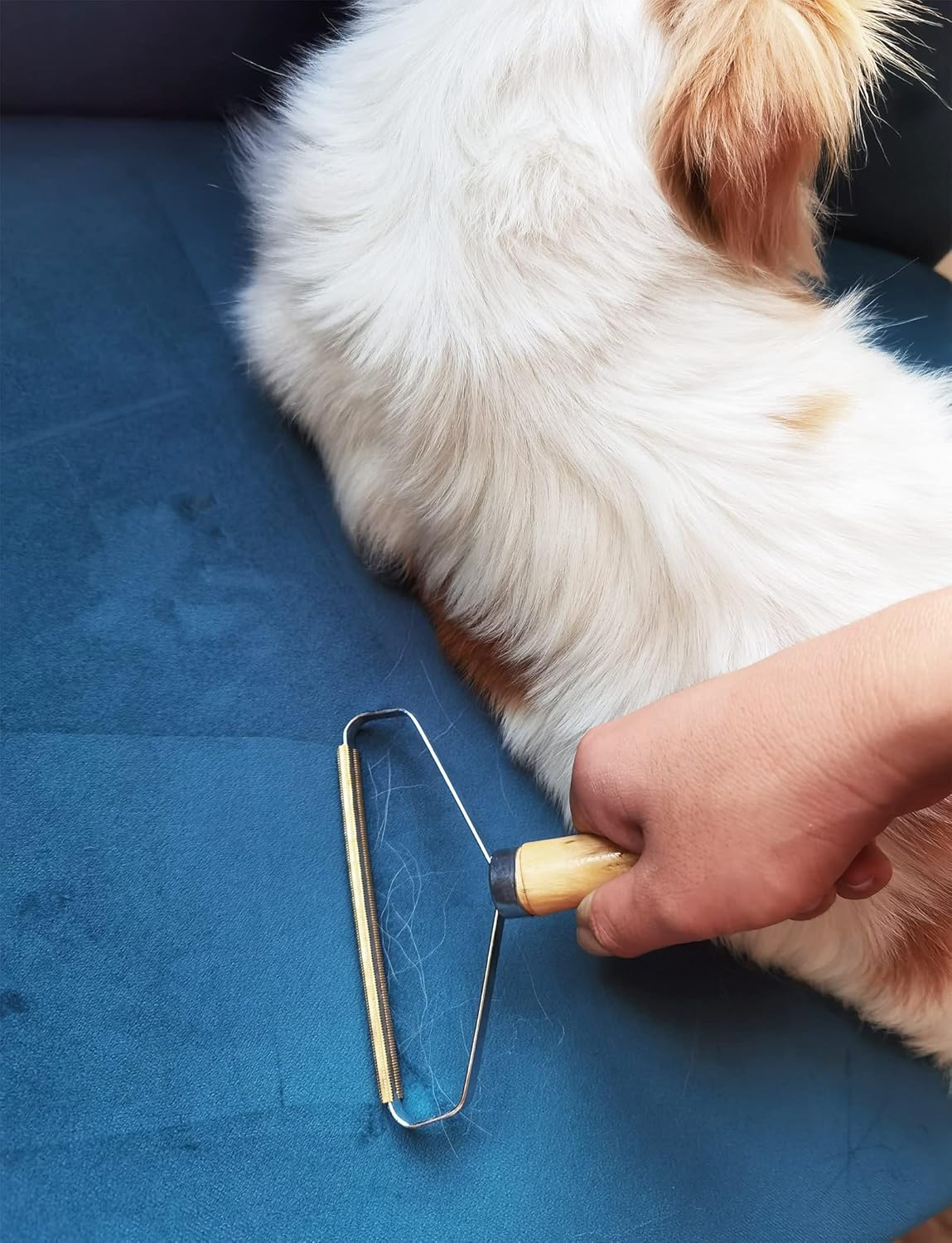 Cat Dog Fur Pro Shaver Fusselentferner fuer Teppiche Stoffsofas Betten