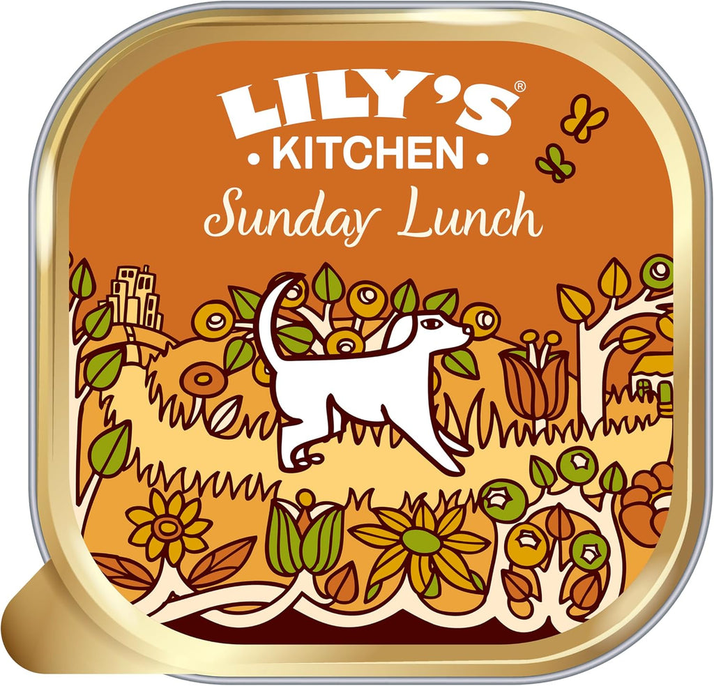 Lily's Kitchen Adult Hundefutter Cottage Pie Nassfutter 10x150g versc