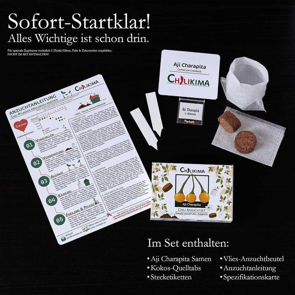 Aji Charapita Chilisamen Anzuchtset Starter Kit Chili Pflanzen ziehen