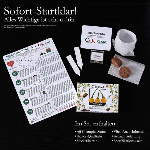 Aji Charapita Chilisamen Anzuchtset Starter Kit Chili Pflanzen ziehen
