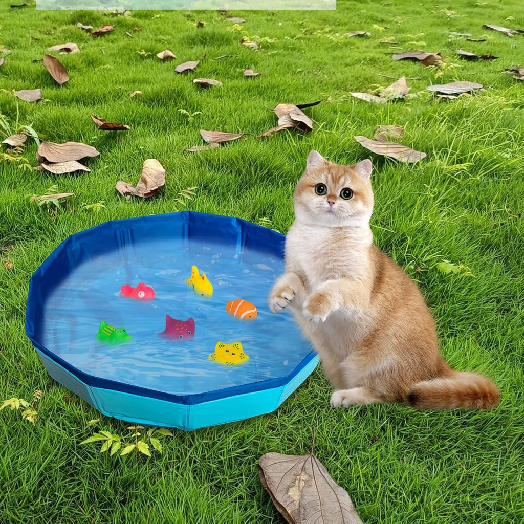 faltbarer Katzenpool 30×10 cm Mini Schwimmbecken mit Spielzeugfischen