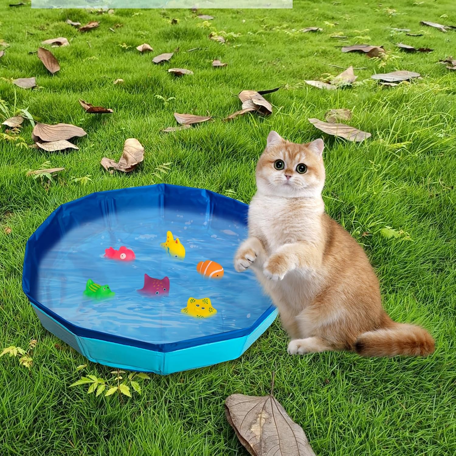 faltbarer Katzenpool 30×10 cm Mini Schwimmbecken mit Spielzeugfischen