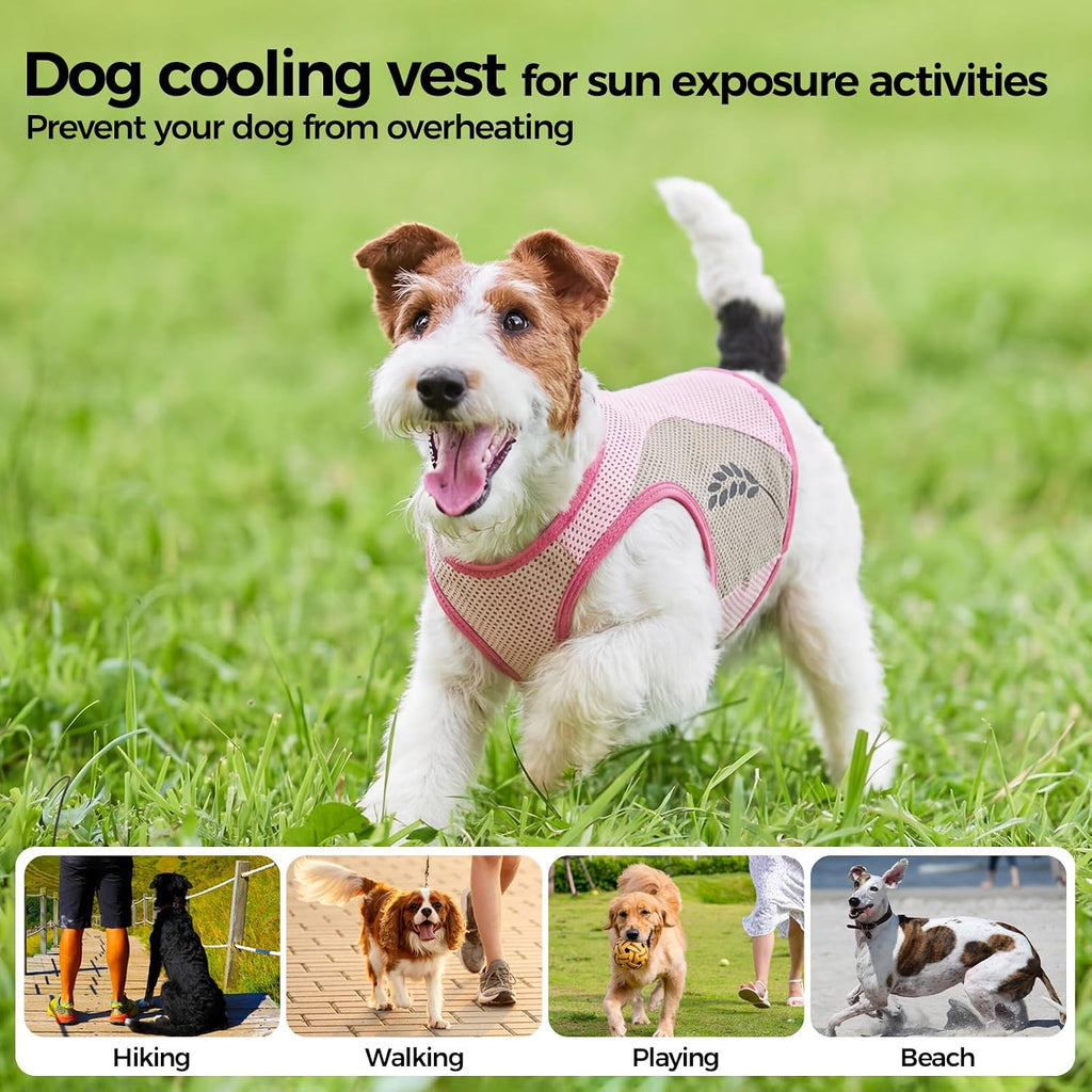 Hundekuehlweste Blau Sommer Kuehljacke Sonnenschutz Outdoor S-XXL