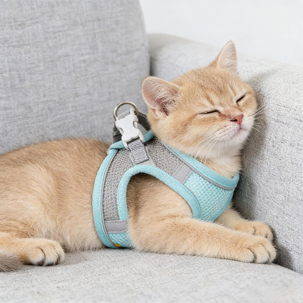 Katzengeschirr verstellbar mit Leine Set Katzen Spaziergang Brustgurt