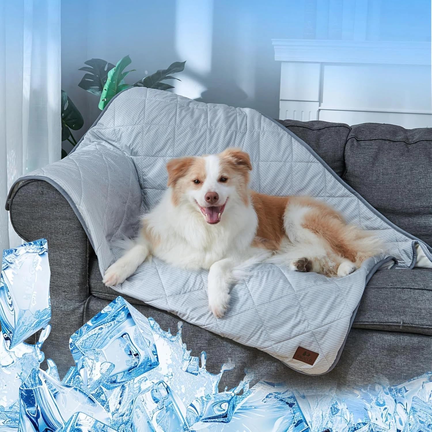 Kuehldecke fuer Hunde 60×47 cm wasserdicht doppelseitig kuehlend plueschig 47cm-127c