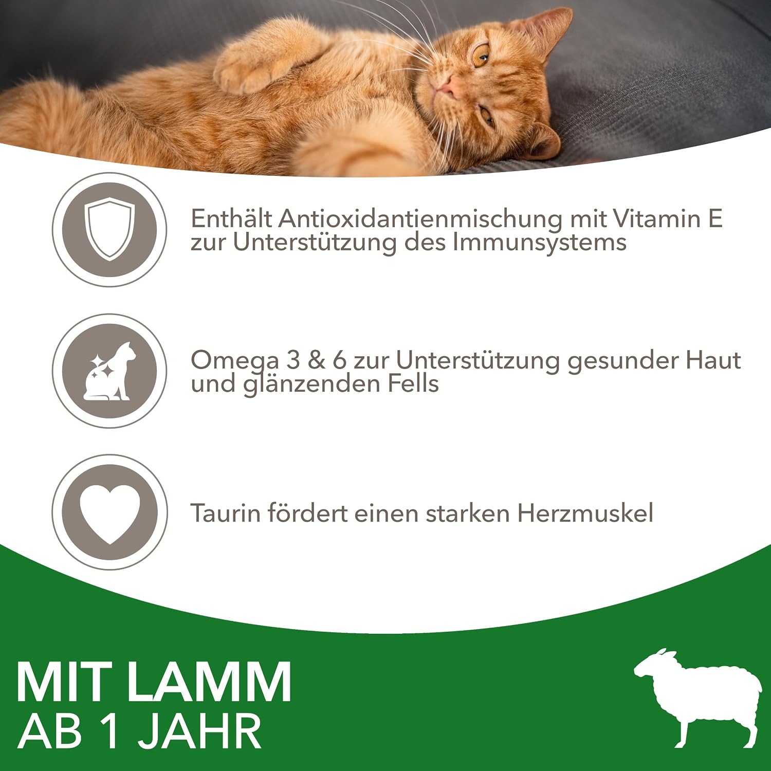 IAMS Katzen Trockenfutter 1,5kg bis 10kg verschiedene Sorten fuer 1-6 Jahre