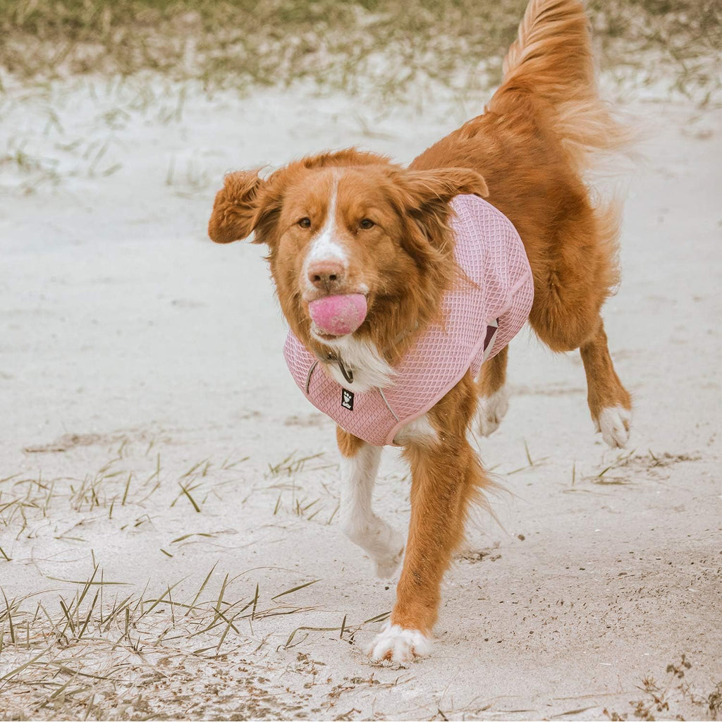 Hurtta Kuehlweste Hund Aquamarin Gr. 50cm-95cm fuer heissen Sommer