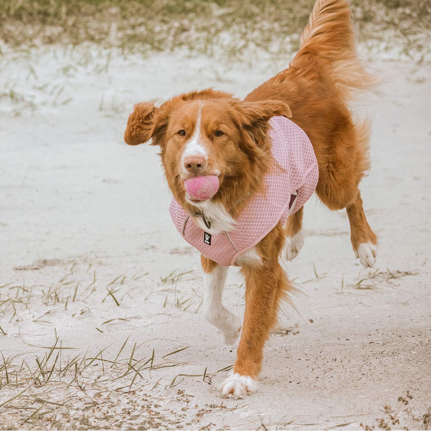 Hurtta Kuehlweste Hund Aquamarin Gr. 50cm-95cm fuer heissen Sommer