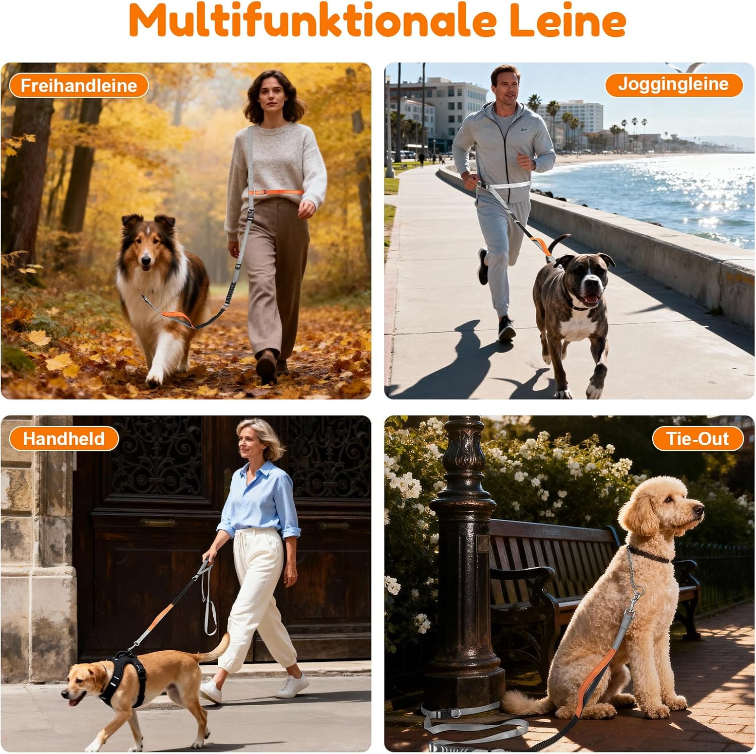 XBEN Joggingleine für Hunde 2,2m-2,35m mit Dualgriff Freihandleine