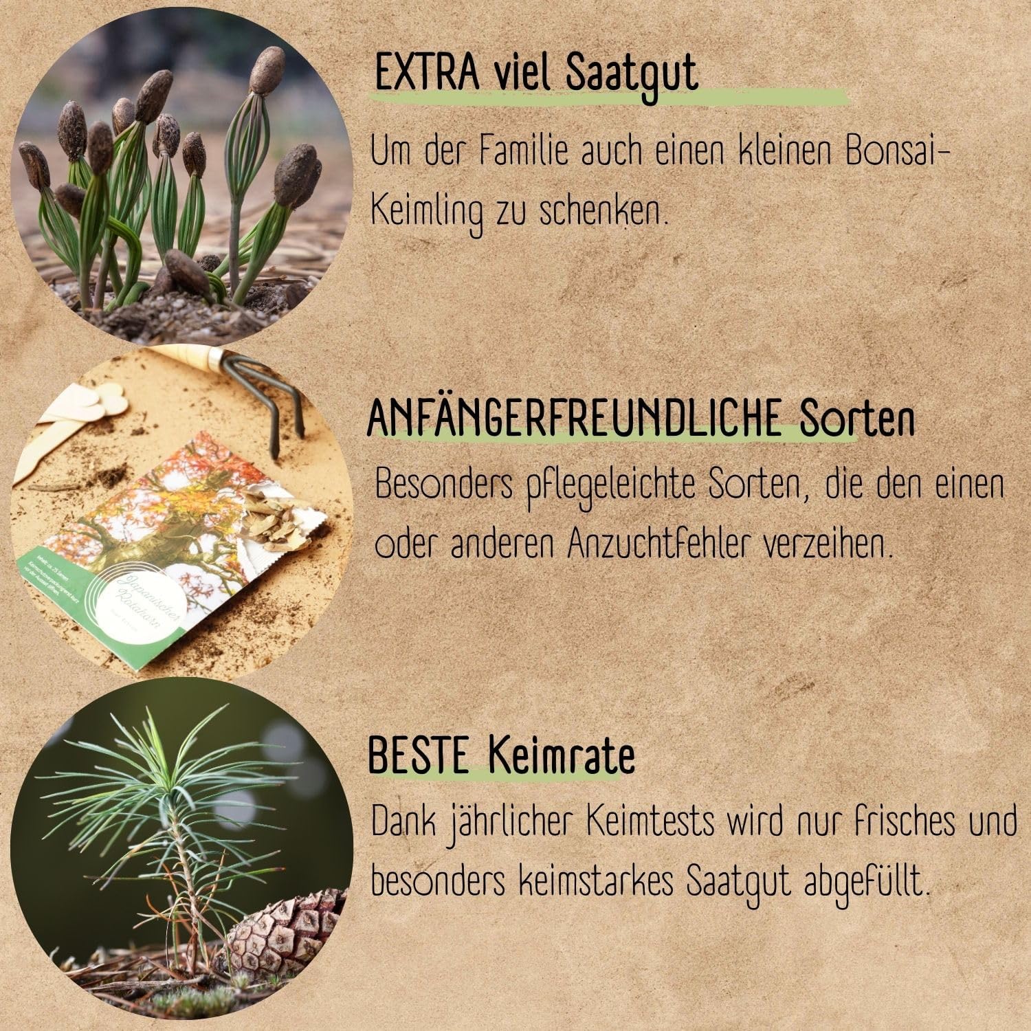 Bonsai Starter Kit mit 4 Samen Anzuchtset plastikfrei nachhaltig Geschenk