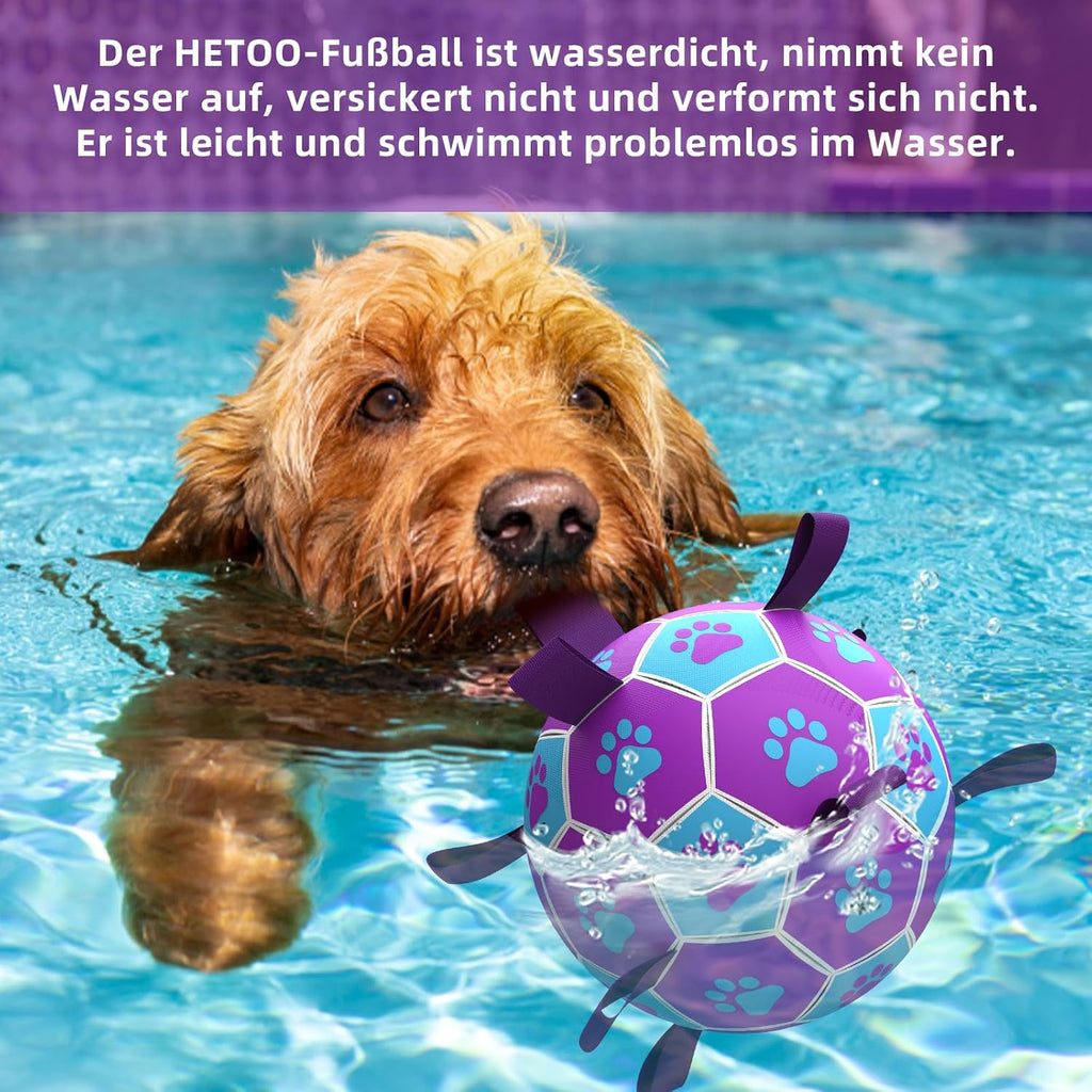 HETOO Hundeball 6" mit Griff fuer mittlere und grosse Hunde M-L lila/blau