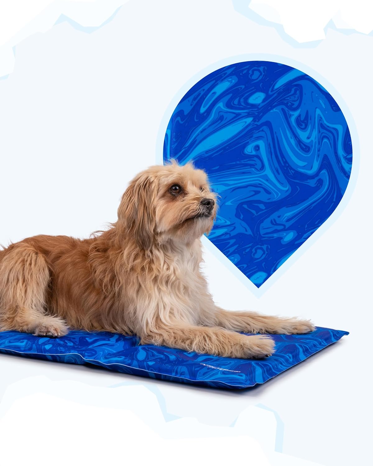 TrendPet Arctic Comfort Kuehlmatte Hund 60x45 cm 20 mm extra dick selbstkuehlend